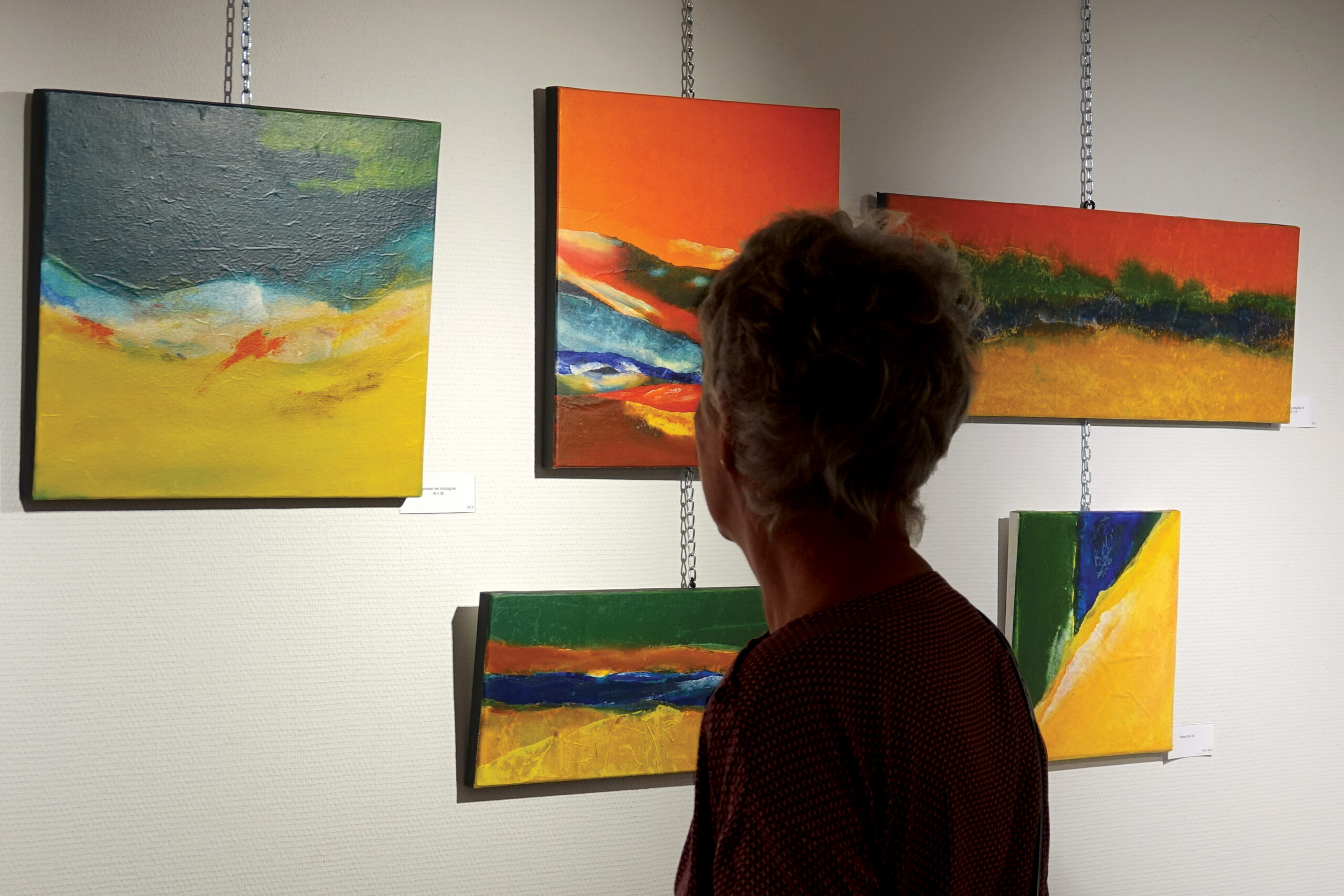 Salle exposition Taninges