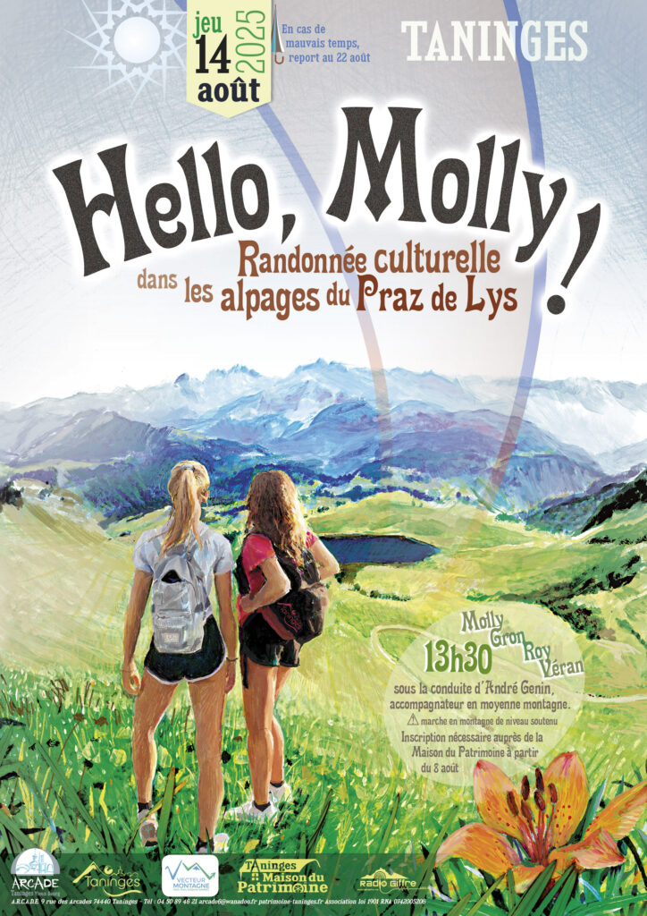 TANINGES ARCADE HELLO MOLLY