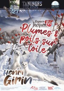 Henri Girin. Plume et poils sur toile. Peinture animalière.